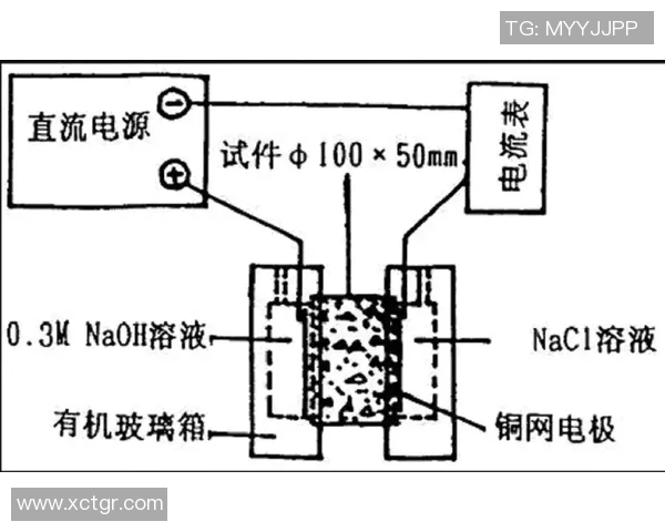 深圳乒乓球队边路渗透战术分析及其对比赛结果的影响探讨